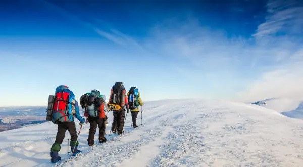 En grupp vandrare med ryggsäckar går uppför en snöig bergssluttning under en klarblå himmel. De njuter av att vandra på vintern.