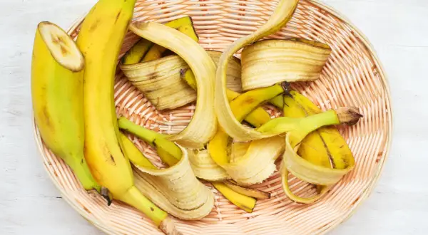 Jak rozcieńczać nawóz z banana? Proporcje 1:1 i 1:10