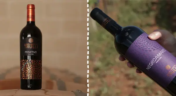 Bottiglia di Primitivo e Negroamaro Masseria Borgo dei Trulli, per scoprire la differenza tra questi vini pugliesi.