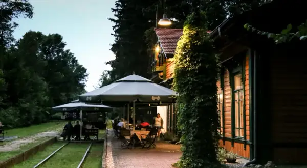 Białowieża: Gdzie zjeść? Od carskich smaków po dziczyznę!