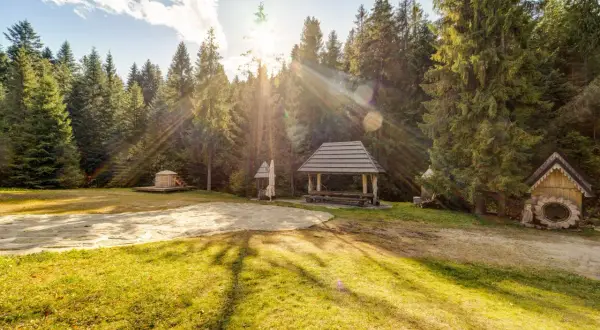 Drewniane altany i budynki w lesie, słońce przebija się przez drzewa.