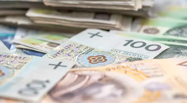 Stosy polskich banknotów 100 złotych. Zastanawiasz się, ile wynosi stawka godzinowa?