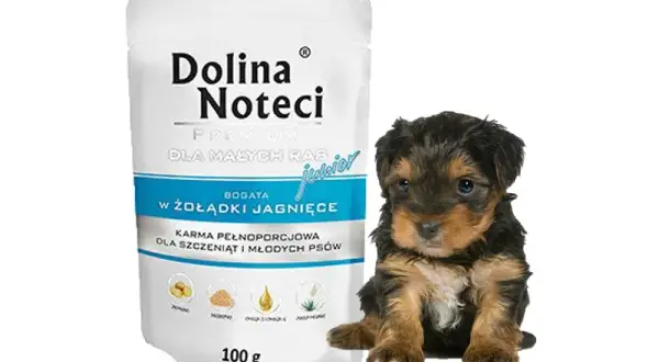 Czy Dolina Noteci to dobra karma dla psa? Sprawdź, co mówią opinie