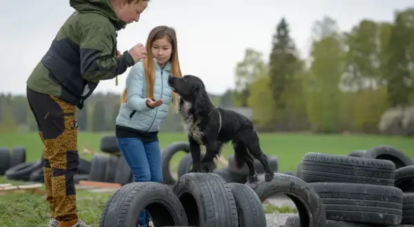 En hund som tränas utomhus, kanske för att inte vara en hund ensam hemma lag. En kvinna och en flicka ger godis.