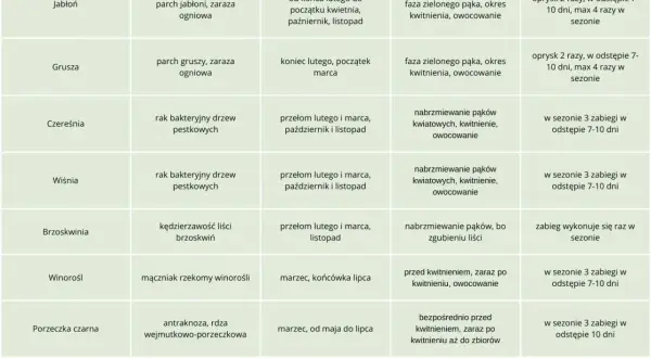 Tabela z terminami opryski drzew owocowych krok po kroku, uwzględniająca gatunek drzewa, choroby, fazę rozwojową i uwagi.