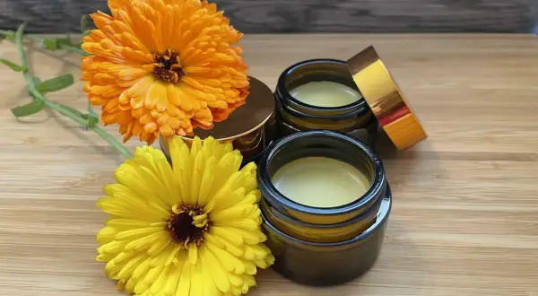 Zwei Gläser mit selbstgemachter Ringelblumensalbe, daneben leuchtend orange und gelbe Ringelblumen.