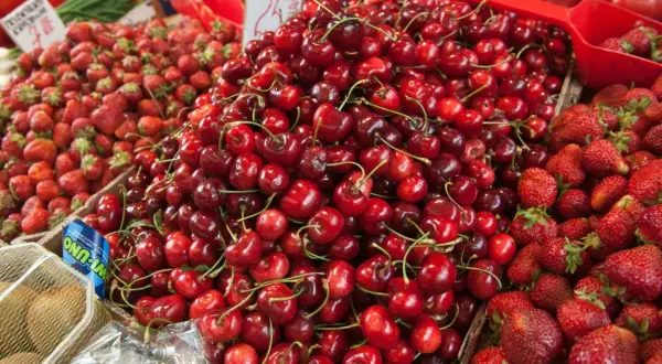Sezon na czereśnie kiedy? Sprawdź, kiedy najlepiej je kupić