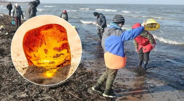 Gdzie szukać bursztynu w Kołobrzegu? Odkryj najlepsze miejsca i porady