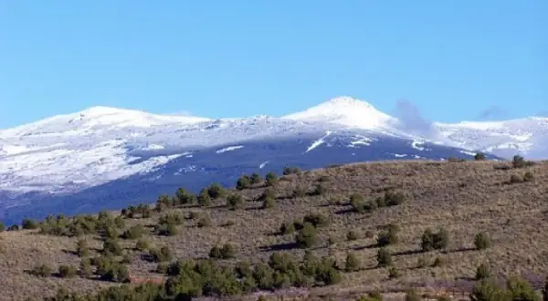 Paisaje montañoso con nieve en las cumbres y vegetación baja salpicada de árboles en los pradillos.