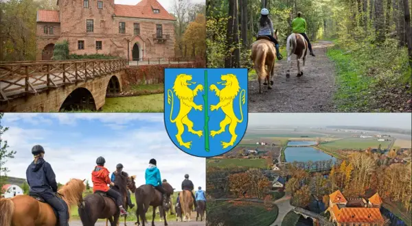 Jazda Konna Mysłowice: Stadnina Arabka Oferta, Cennik, Kontakt