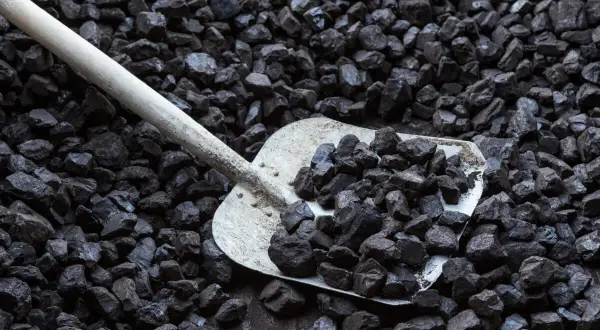 Łopata nabiera węgiel orzech z hałdy. Ciemne bryły węgla tworzą tło dla metalowego narzędzia.