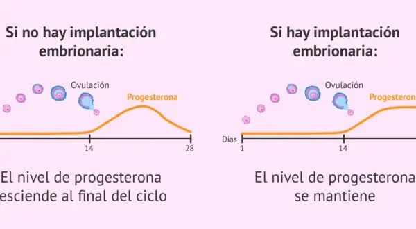Gráfica muestra cómo el nivel de progesterona desciende si no hay implantación, pero se mantiene si hay implantación, clave para como aumentar la progesterona.