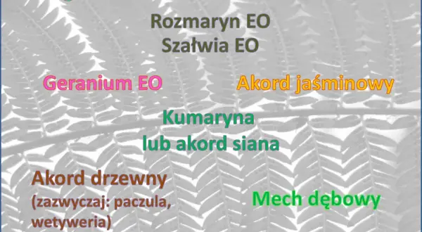 Zapach lawendy, bergamotki, jaśminu i innych nut zapachowych na tle paproci.