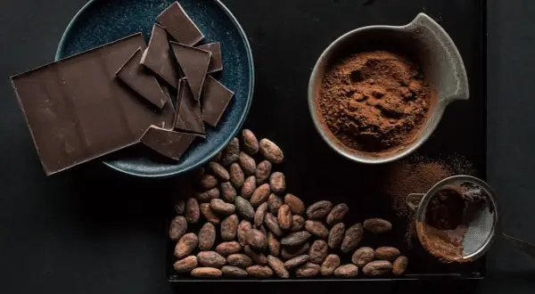 Tableta de chocolate, cacao en grano y polvo de cacao, mostrando diferentes tipos de chocolate.