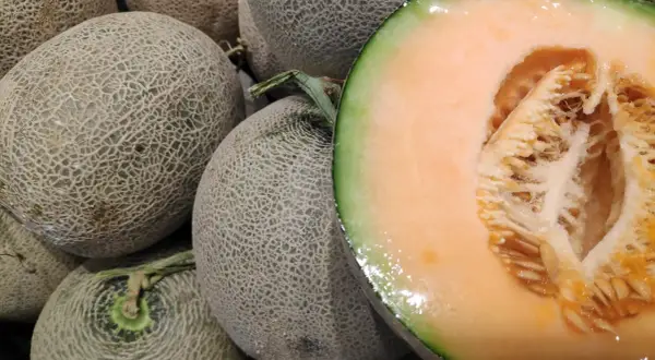 Kiedy sezon na melony? Sprawdź, kiedy są najsmaczniejsze i tańsze