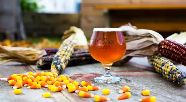 Bicchiere di birra ambrata con logo Urban Growler, circondato da pannocchie colorate e caramelle a forma di mais. Un omaggio autunnale alla birra al mais.