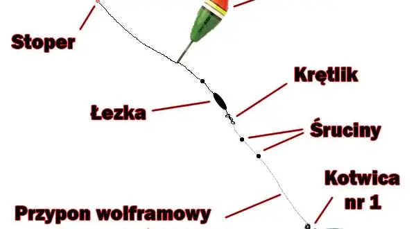 Jak przygotować wędkę na grunt, aby złowić więcej ryb?