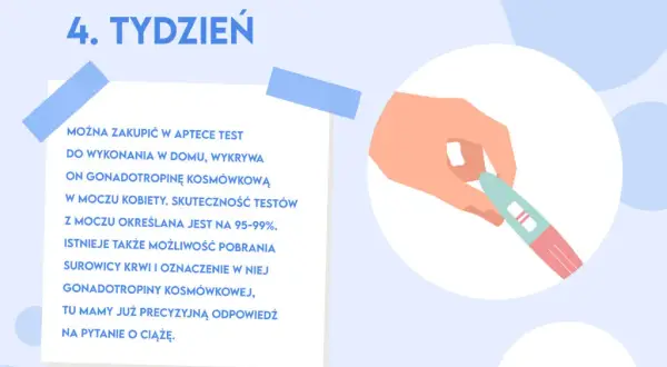 Czwarty tydzień ciąży objawy – co powinno Cię zaniepokoić?
