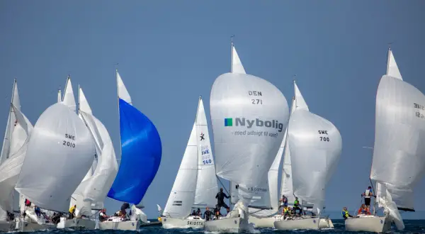 Regata con spinnaker gonfiati, tra cui uno blu acceso e uno bianco con logo Nybolig. Le barche competono in una giornata di sole.