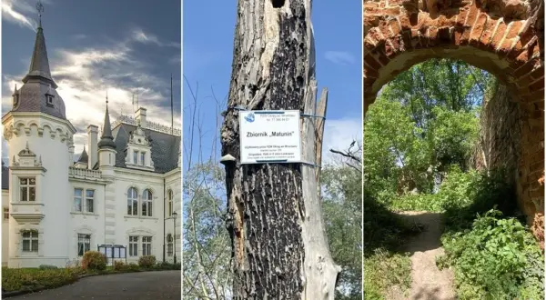 Najciekawsze atrakcje w Jelczu-Laskowicach, które warto poznać