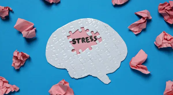 Puzzle w kształcie mózgu z napisem "STRESS" w środku. Wokół porozrzucane pomięte kartki. Jak napisać przemówienie, gdy stres paraliżuje?