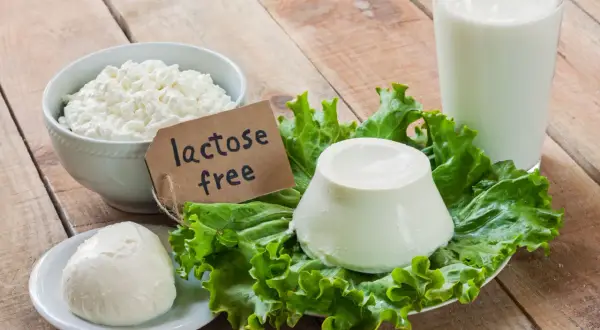 Serek wiejski, ser mozzarella, ser biały i szklanka mleka na sałacie. Etykieta "lactose free" wyjaśnia, że laktoza co to jest, nie stanowi problemu.