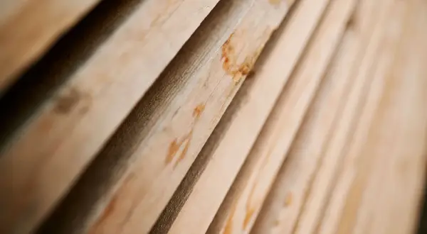 Lignes de bois avivé, aux teintes claires et naturelles, prêtes à être transformées.