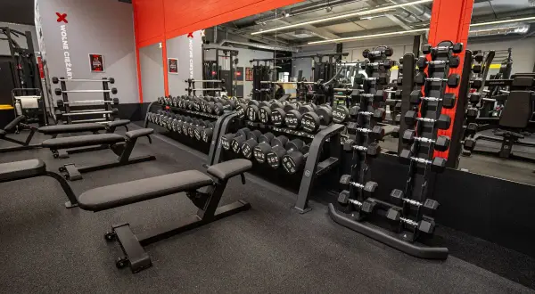 Siłownie Przeworsk: Twój przewodnik po najlepszych klubach fitness