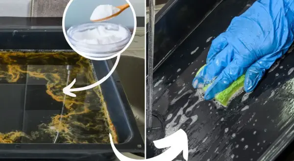 Jak wyczyścić blachę z piekarnika? Zobacz, jak soda oczyszczona i gąbka radzą sobie z uporczywym brudem.