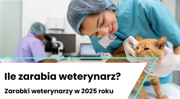 Weterynarz: jak nim zostać? Studia, kariera, zarobki 2026.