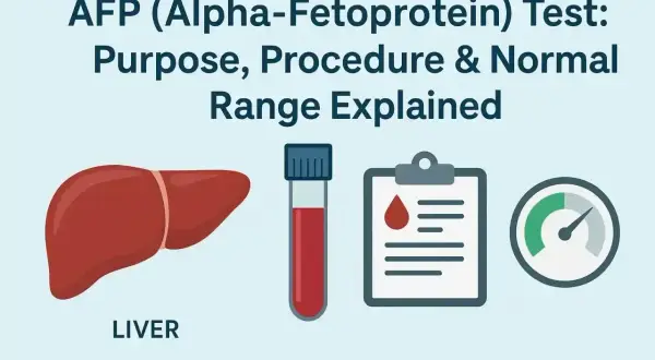 Badanie AFP (alfa-fetoproteiny) to test oceniający wątrobę. Obrazek pokazuje wątrobę, probówkę z krwią i wyniki.