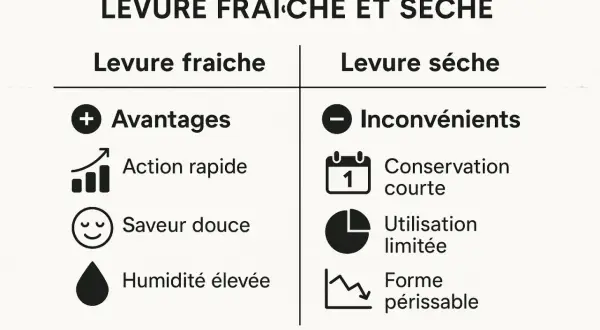 Comparaison levure fraîche et sèche : avantages (action rapide, saveur douce, humidité élevée) et inconvénients (conservation courte, utilisation limitée, forme périssable).