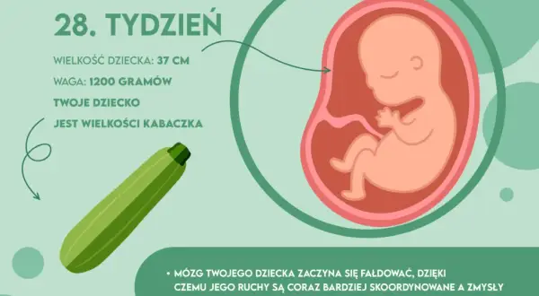 28. tydzień ciąży: 7. miesiąc i III trymestr co musisz wiedzieć?