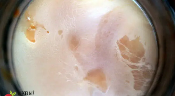 Biały nalot na powierzchni octu jabłkowego, tworzący ciekawe wzory. To znak, że ocet dojrzewa.