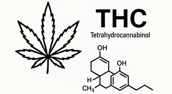 Co to jest THC? Działanie, medycyna, prawo w Polsce przewodnik