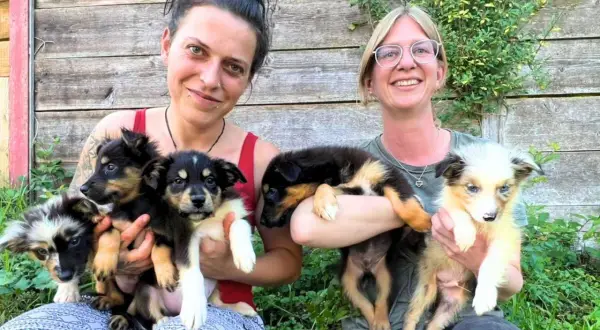 Zwei Frauen halten jeweils mehrere niedliche Welpen. Sie lächeln und wirken glücklich, als ob sie sich über die kleinen Hunde freuen, die sie auch in Not gerettet haben könnten.