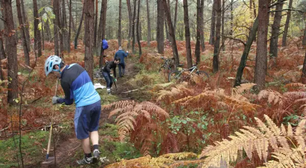 Des bénévoles en pleine action pour l'entretien d'un sentier de randonnée à Fontainebleau. Des vélos sont garés à proximité.
