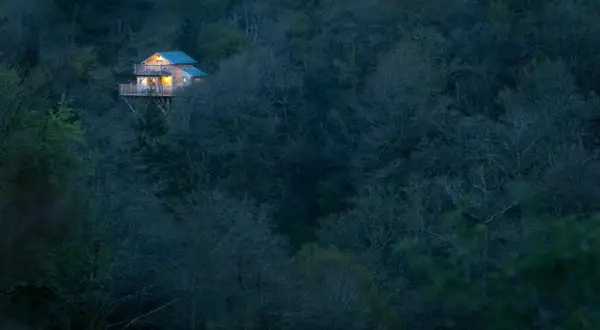 Un charmant **logement atypique en Bretagne**, perché au milieu d'une forêt dense et sombre, illuminé par des lumières chaudes.