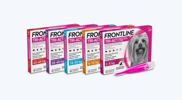 Frontline dla psa: Aplikacja krok po kroku. Uniknij błędów!