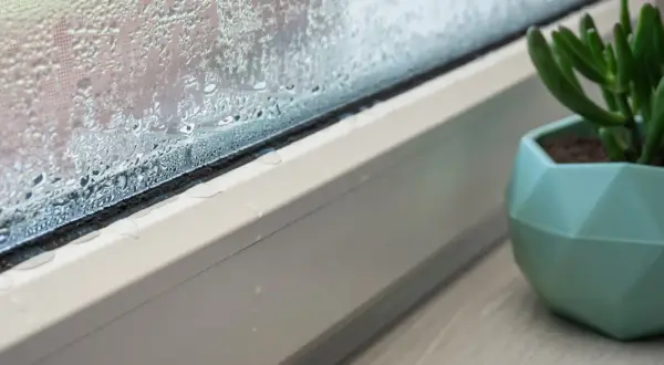 Jak pozbyć się wilgoci na oknach? Skuteczne metody, które działają!