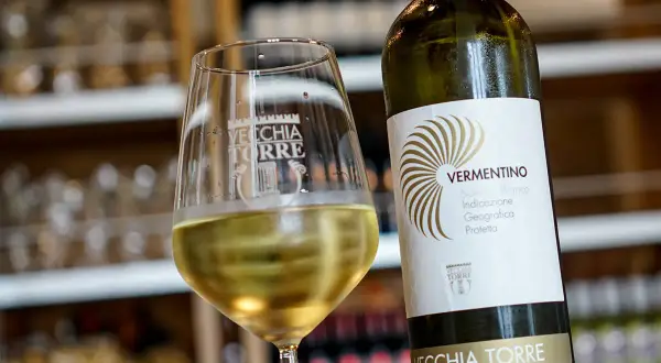 Un bicchiere di vino bianco, il vermentino è frizzante, accanto alla bottiglia Vecchia Torre.