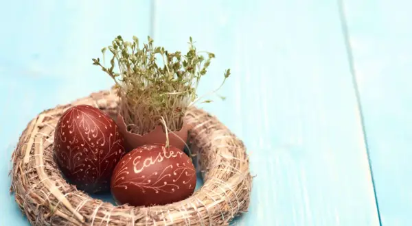 Wianek z rzeżuchą i pisankami, jedna z nich ozdobiona napisem "Easter".