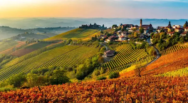 Colline dorate e arancioni dei vigneti nelle Langhe Monferrato, con un borgo arroccato e un campanile al tramonto.