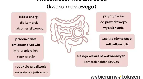 Maślan sodu to źródło energii dla komórek jelitowych, wspiera prawidłowe wypróżnianie i regenerację śluzówki.