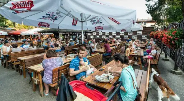 Gdzie dobrze zjeść w Jastrzębiej Górze? Odkryj najlepsze miejsca