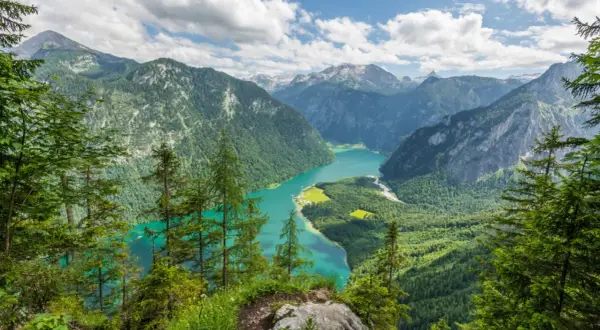 Türkisblaue Bergseenlandschaft mit bewaldeten Hängen und Gipfeln. Ein atemberaubender Ausblick in einem wilden Nationalpark.