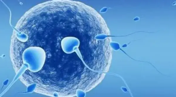Czy dzieci z in vitro mają duszę? Kontrowersje i wierzenia w religiach