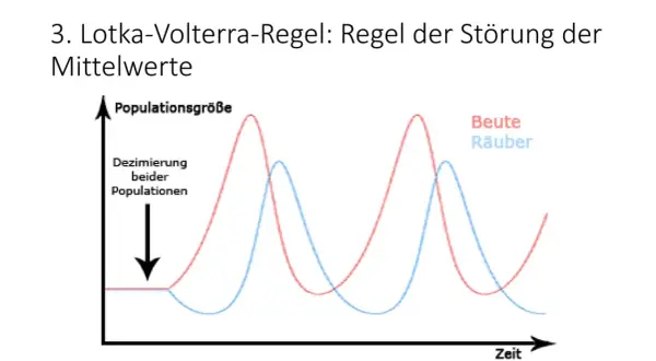 Lotka-Volterra-Modell: Räuber-Beute-Dynamik zeigt zyklische Schwankungen der Populationsgrößen.
