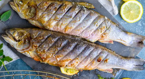 Zwei goldbraun gegrillte Saiblinge liegen auf einem dunklen Stein, garniert mit Zitronenscheiben und Kräutern. Perfekt zum Saibling grillen!