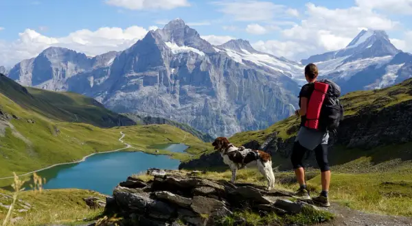 Wanderer mit Hund genießen atemberaubende Aussicht im Berner Oberland. Bergpanorama mit Seen und Gipfeln.
